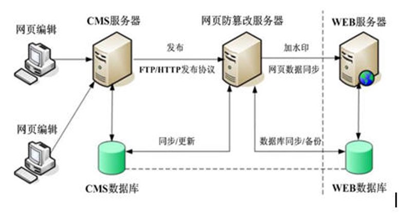 云主机安全：构建数字化时代的坚实盾牌